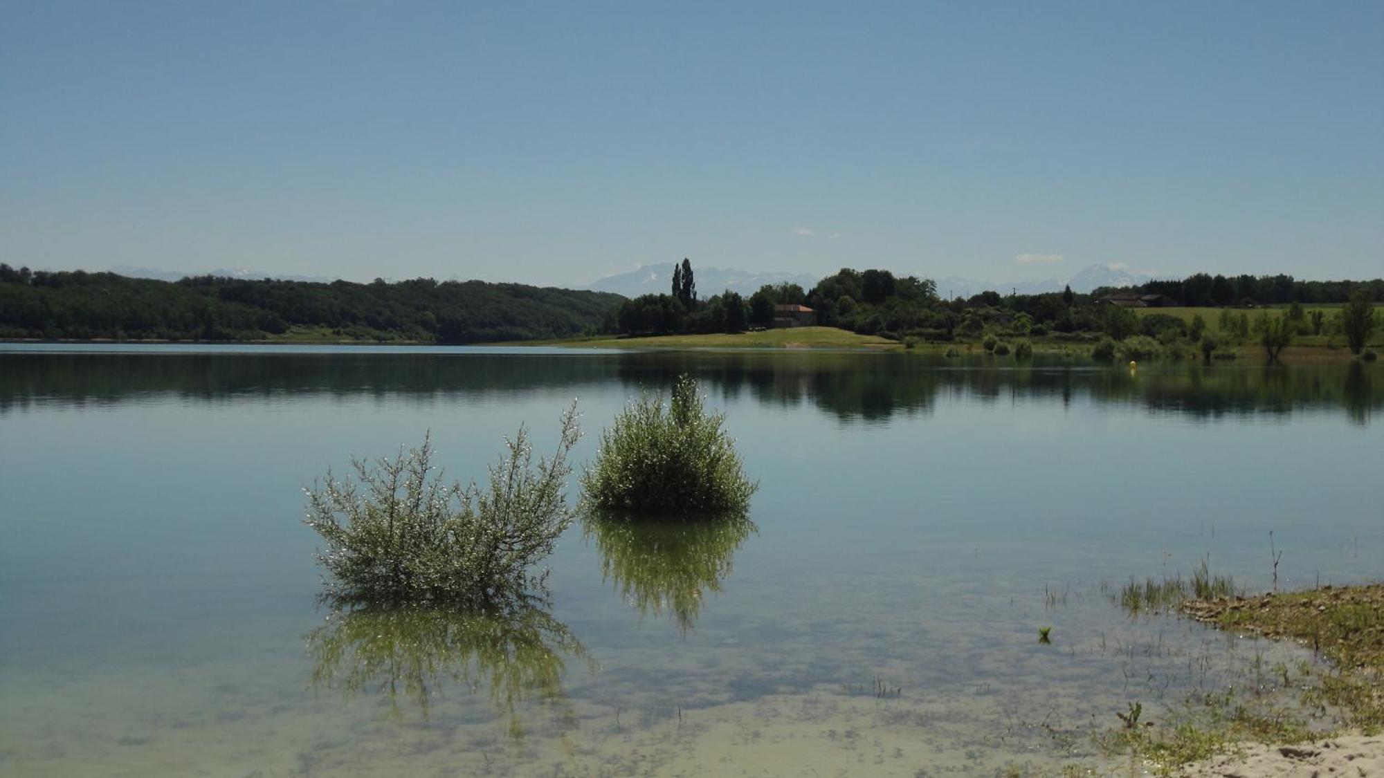فندق Relais Du Chateau Saint-Blancard المظهر الخارجي الصورة